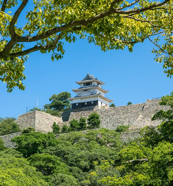 青い空の下、石垣の上にそびえ立つ日本の城。白い壁と黒い瓦屋根が特徴的で、周囲は豊かな緑の木々に囲まれている。