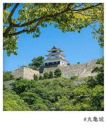 #丸亀城