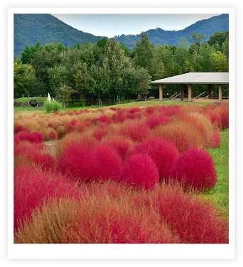 国営讃岐まんのう公園